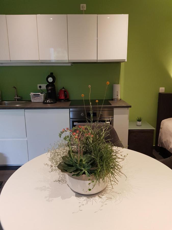 Apartamento Touristflat Dewulf Gante Exterior foto